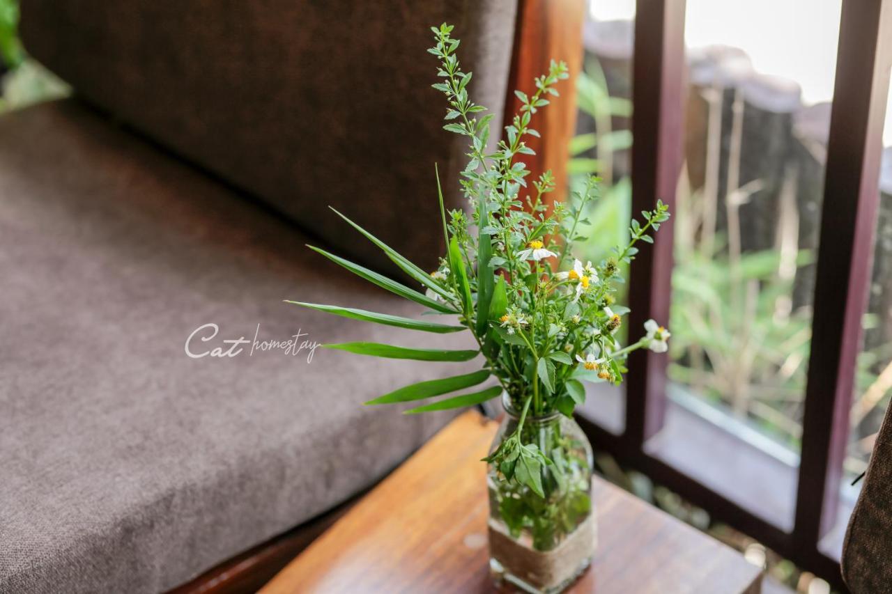 Cat Homestay Hue Exterior foto